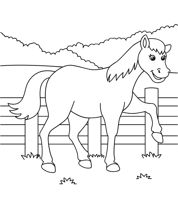 tô màu con ngựa 6
