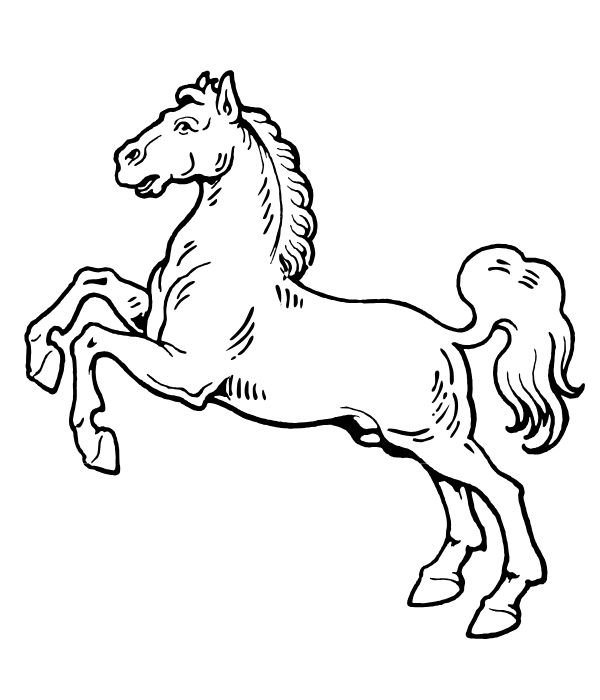 tô màu con ngựa 8