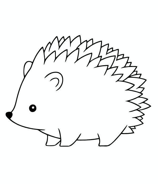 tô màu con nhím 1