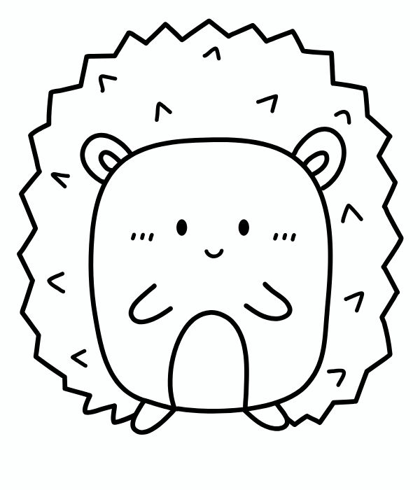 tô màu con nhím 13