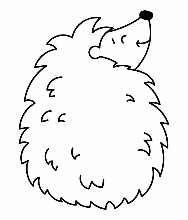tô màu con nhím 14