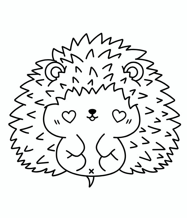 tô màu con nhím 16