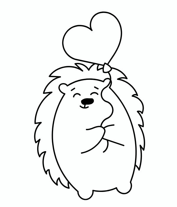 tô màu con nhím 19