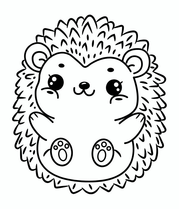 tô màu con nhím 2