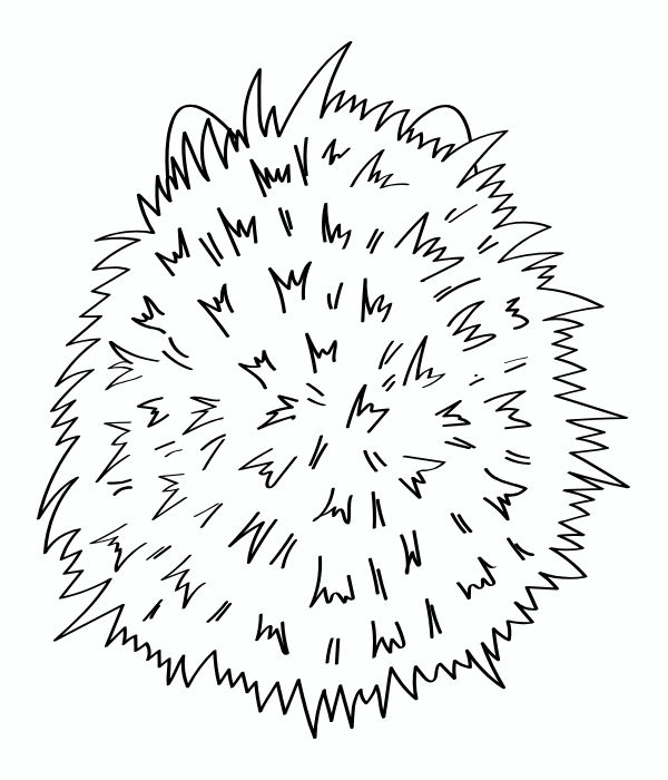 tô màu con nhím 23