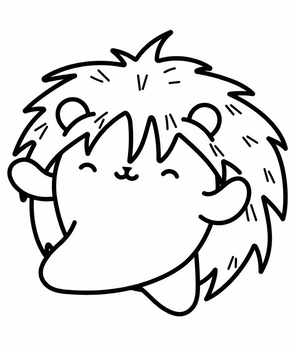 tô màu con nhím 24