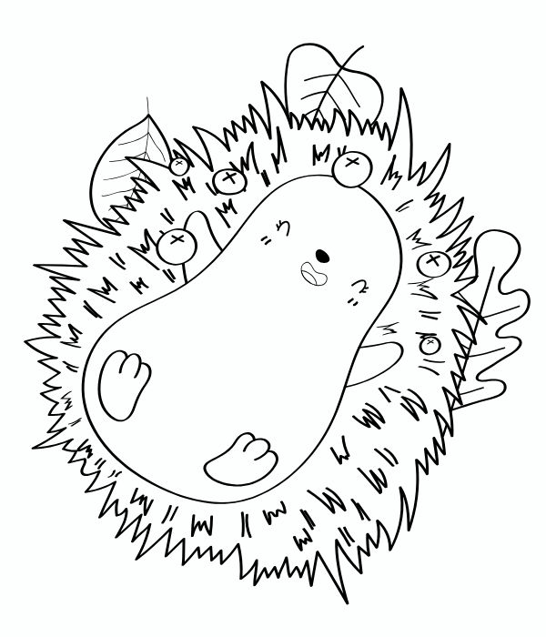 tô màu con nhím 25