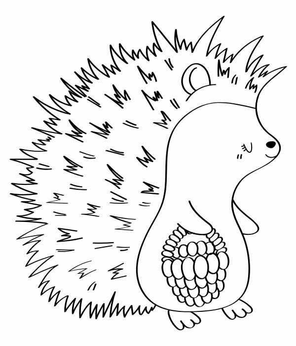 tô màu con nhím 27
