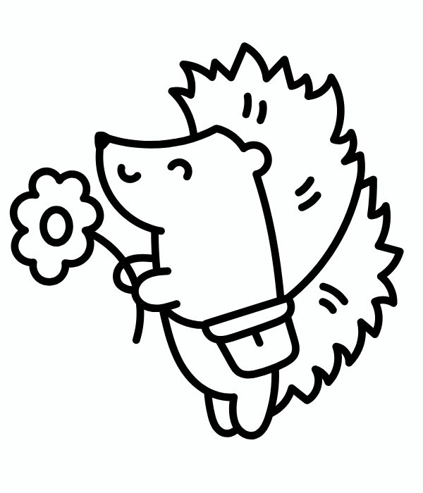 tô màu con nhím 29