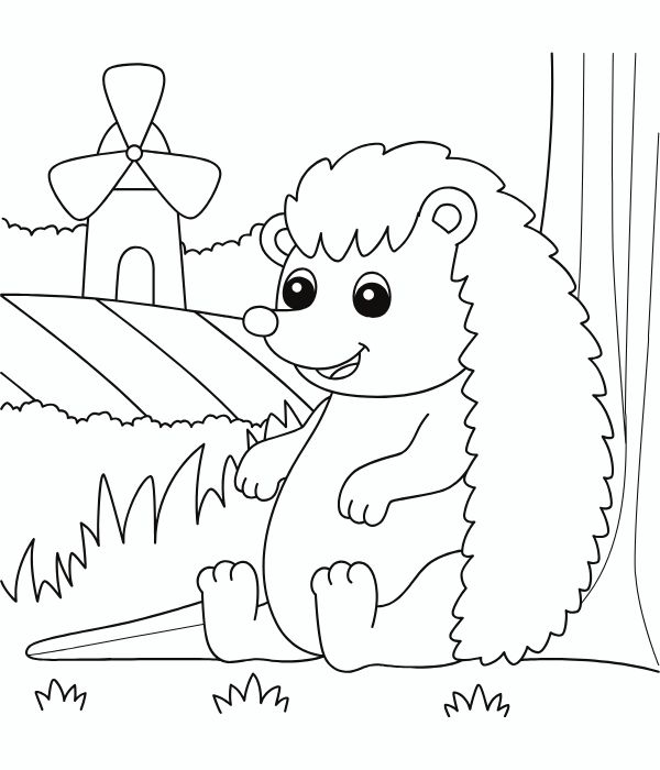 tô màu con nhím 3