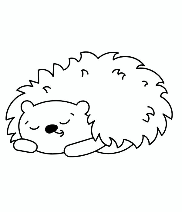 tô màu con nhím 30