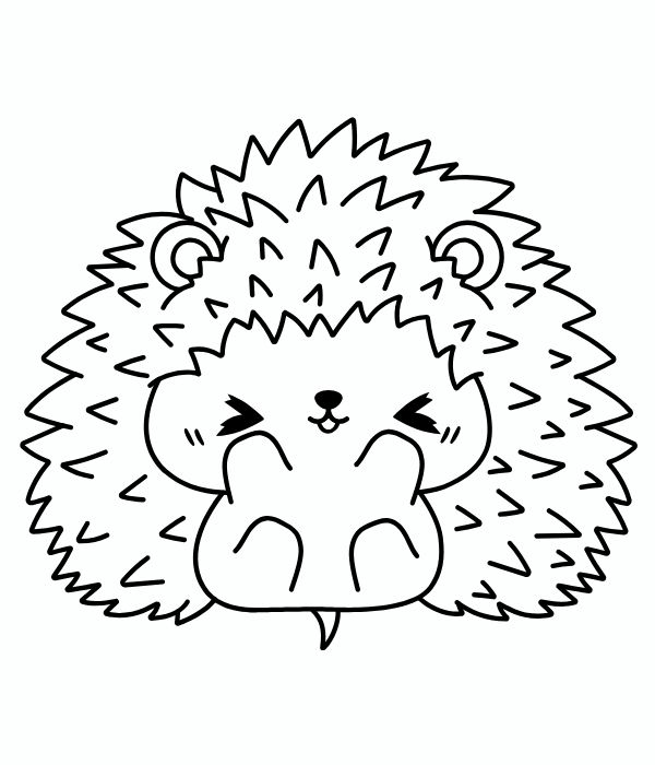 tô màu con nhím 5
