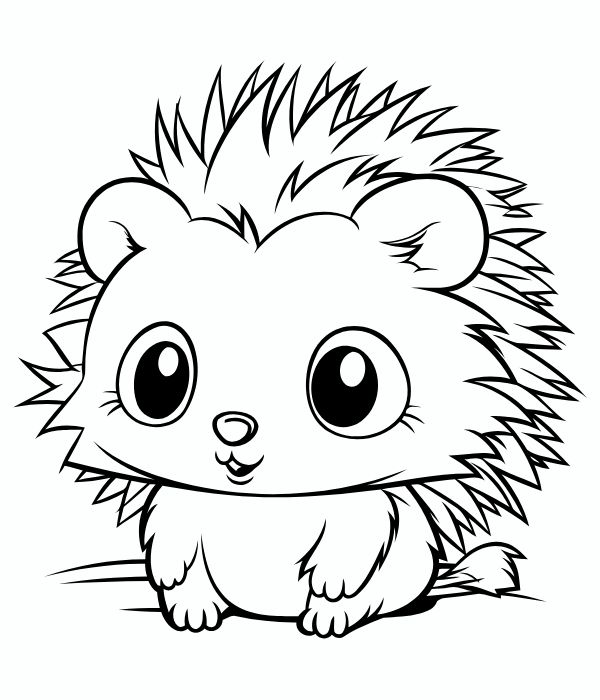 tô màu con nhím 6