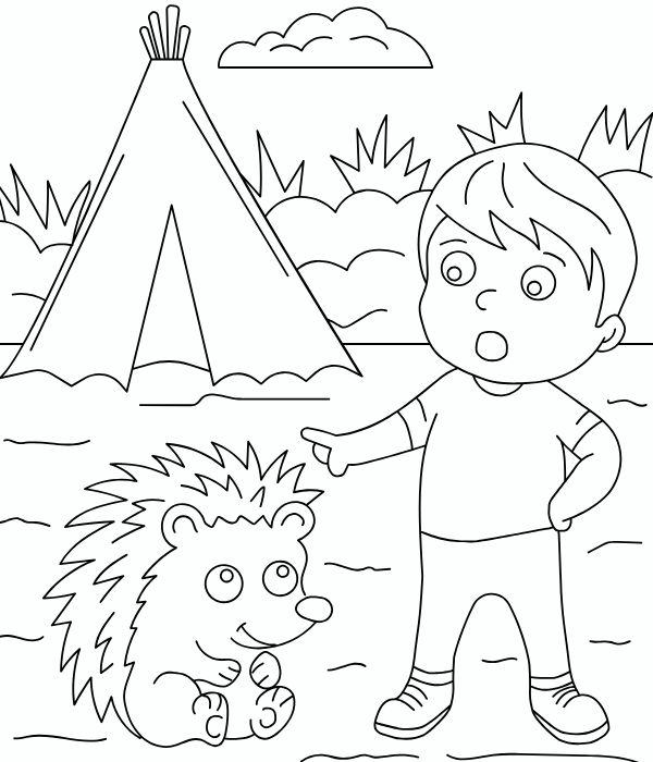 tô màu con nhím 7