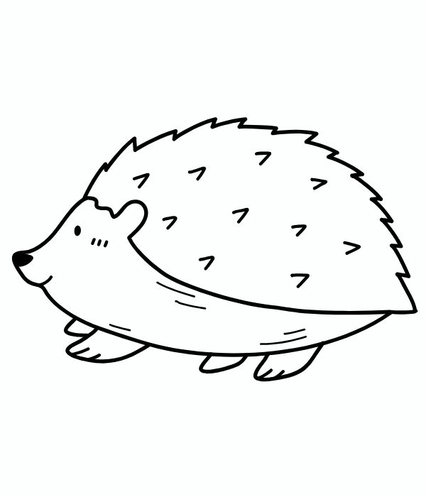 tô màu con nhím 8
