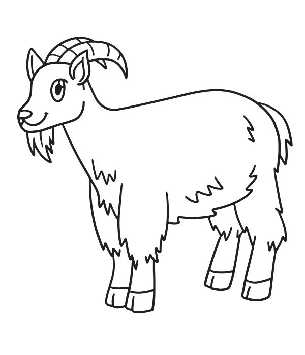 tô màu hình con dê