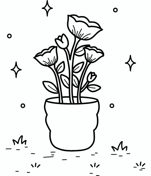 tranh tô màu chậu hoa 10