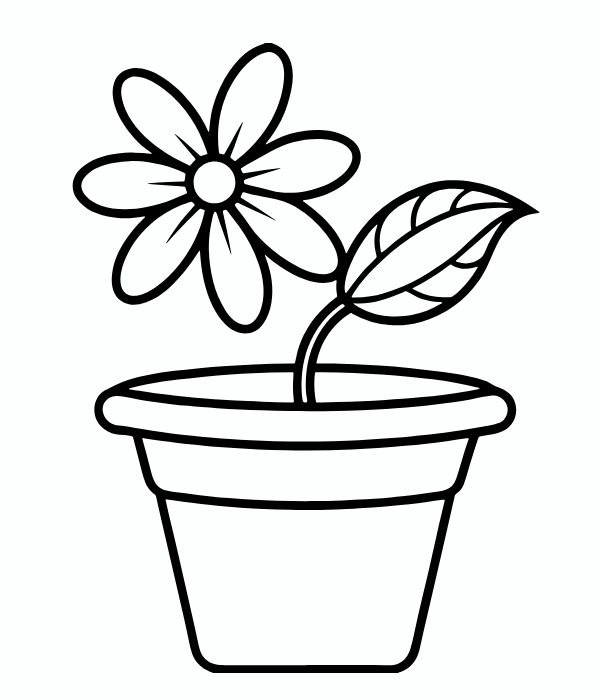 tranh tô màu chậu hoa 2