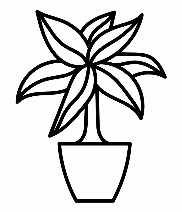 tranh tô màu chậu hoa 20