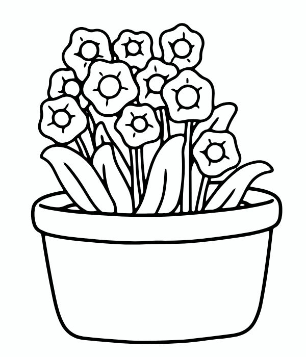tranh tô màu chậu hoa 21