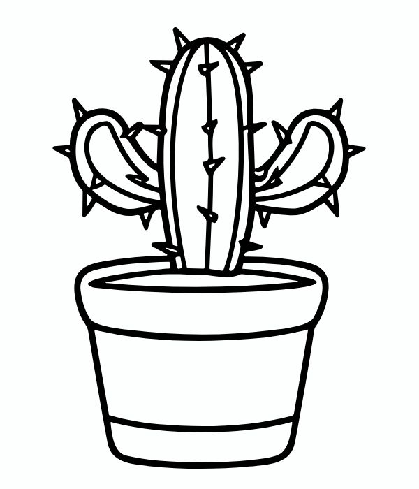 tranh tô màu chậu hoa 3