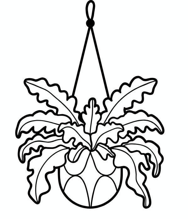 tranh tô màu chậu hoa 32