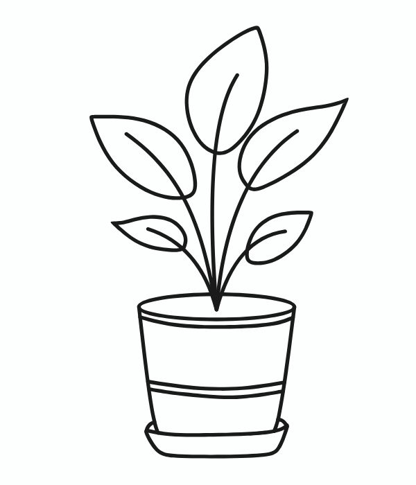 tranh tô màu chậu hoa 4