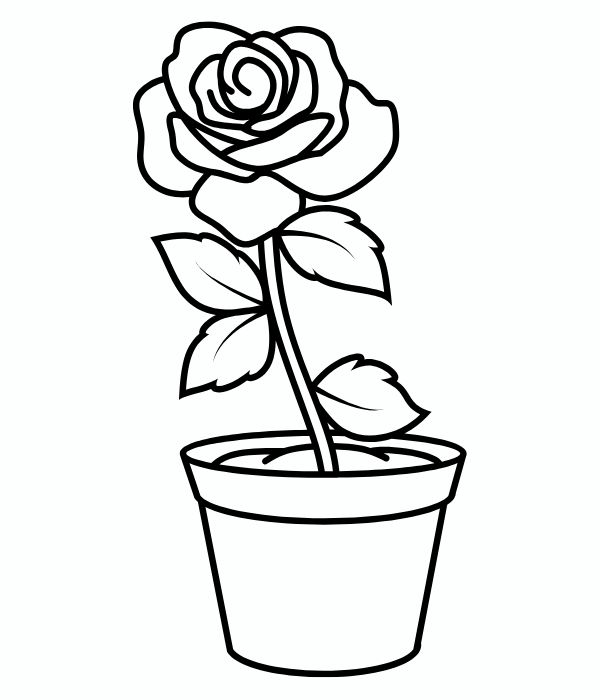 tranh tô màu chậu hoa 7