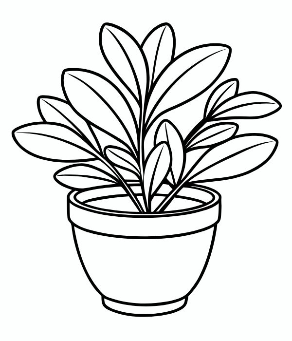 tranh tô màu chậu hoa 9