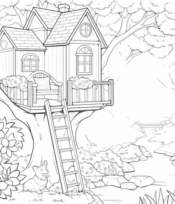 tranh tô màu nhà sàn 26