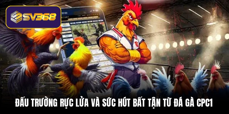 dau-truong-ruc-lua-va-suc-hut-bat-tan-tu-da-ga-cpc1