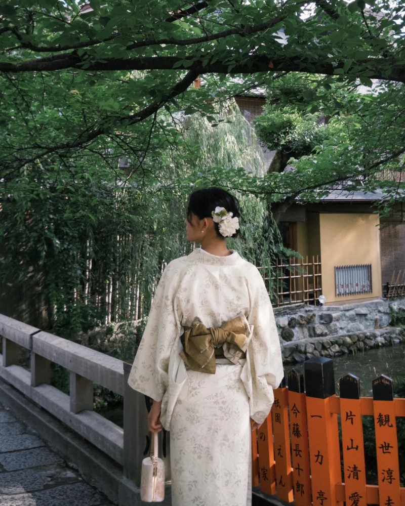 ảnh chụp trong khu rừng tre