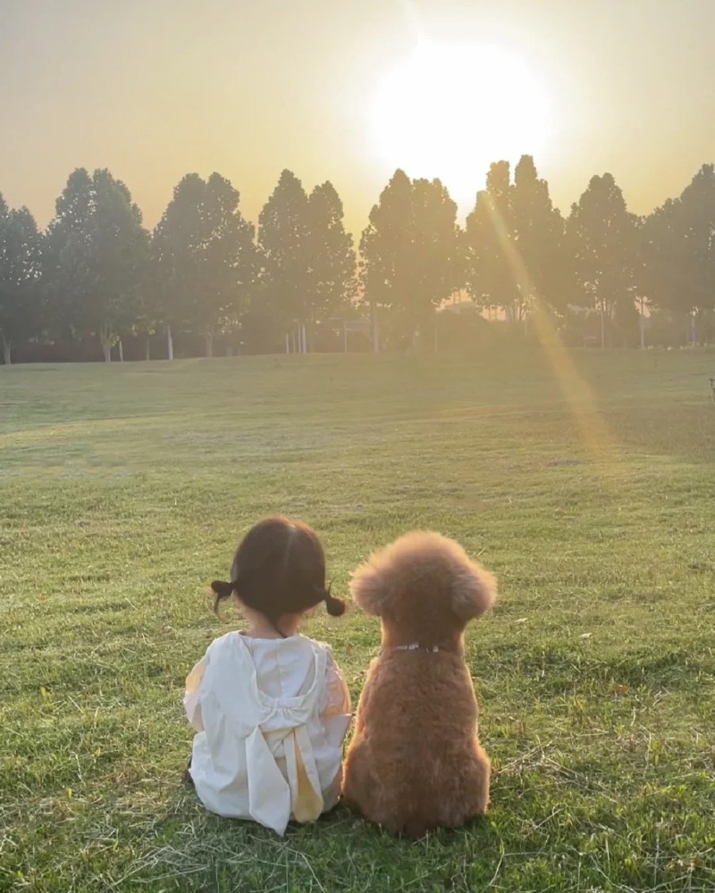 cô gái ngồi cùng chú chó trong hoàng hôn