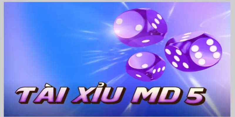 thong-tin-so-luoc-ve-game-tai-xiu-md5