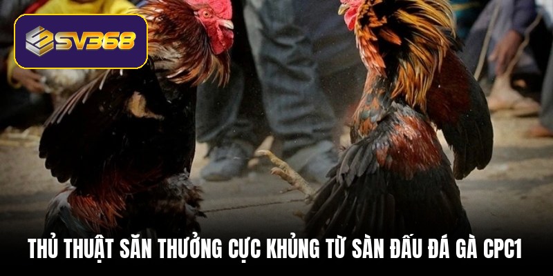 thu-thuat-san-thuong-cuc-khung-tu-san-dau-da-ga-cpc1