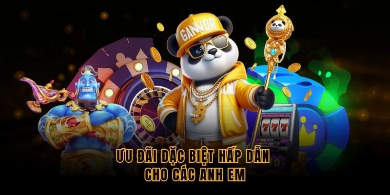 uu-dai-dac-biet-hap-dan-cho-cac-anh-em