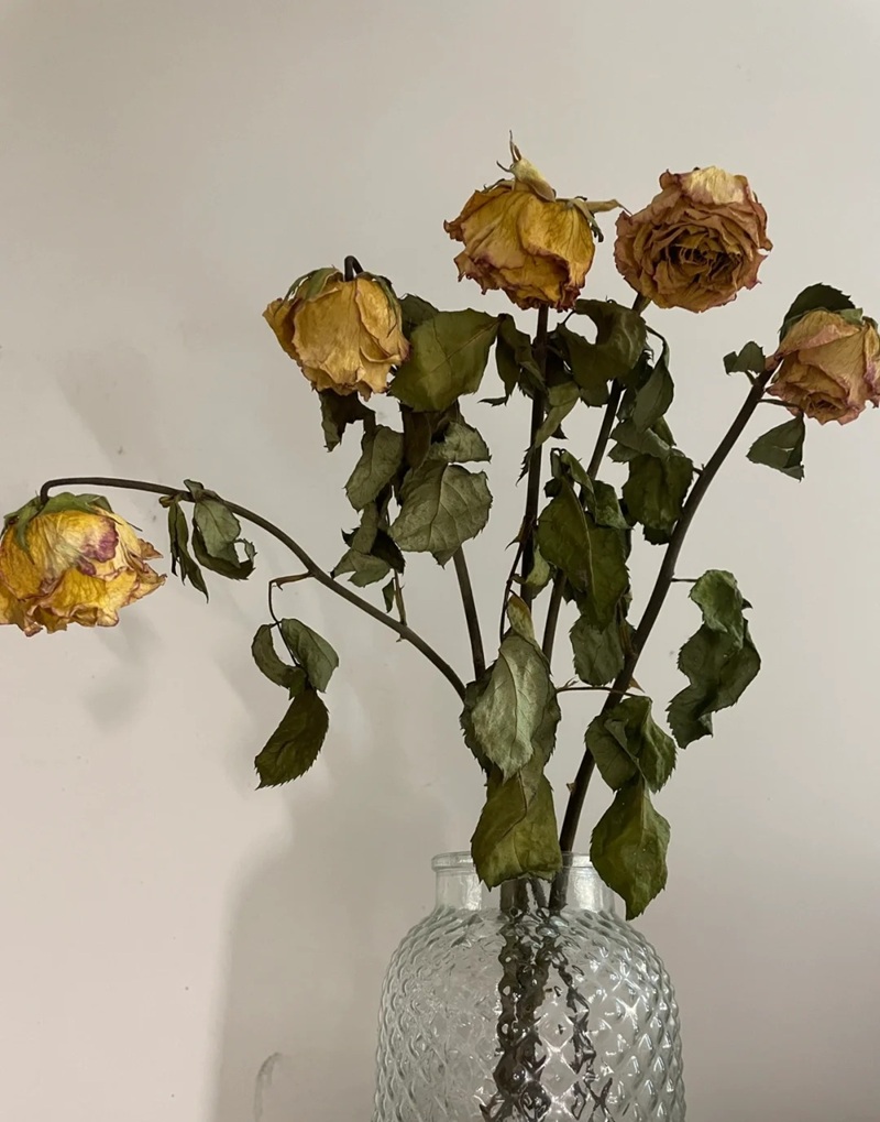 ảnh hoa tàn buồn