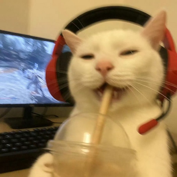 avatar đôi vô tri 18