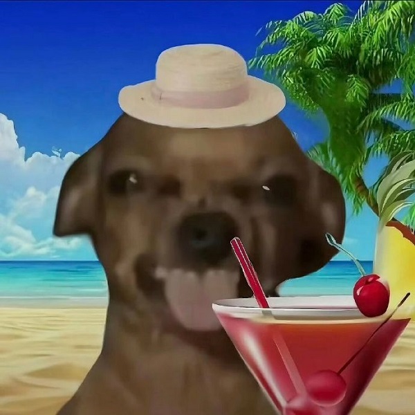 avatar đôi vô tri 21