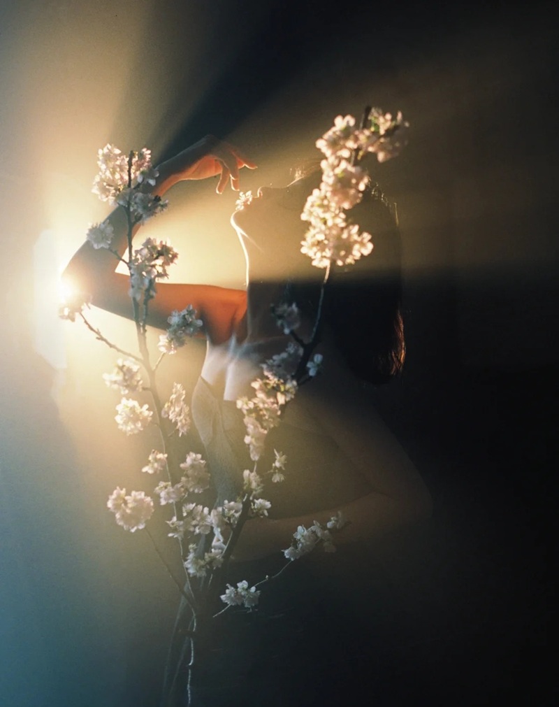 hình ảnh hoa buồn cô đơn 11