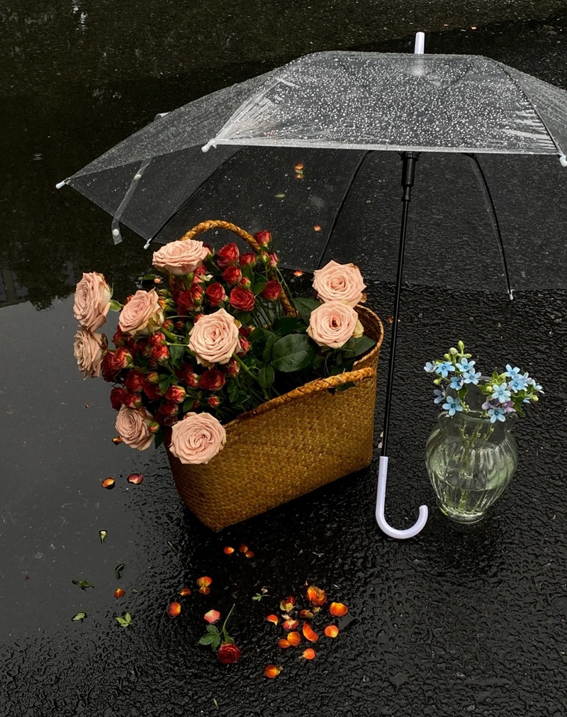 hình ảnh hoa buồn cô đơn 21