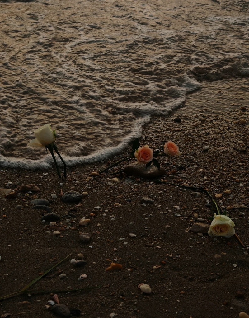 hình ảnh hoa buồn cô đơn 25