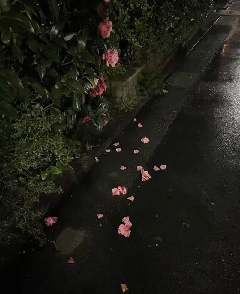 hình ảnh hoa buồn cô đơn 29