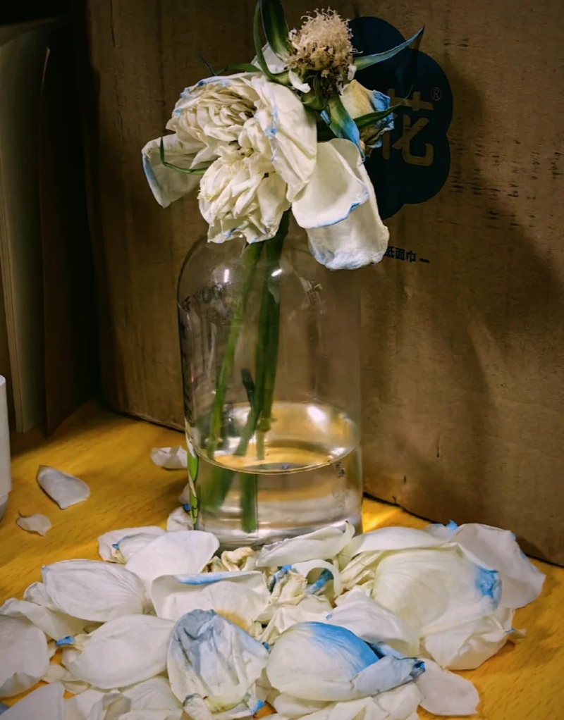 hình ảnh hoa buồn cô đơn 31